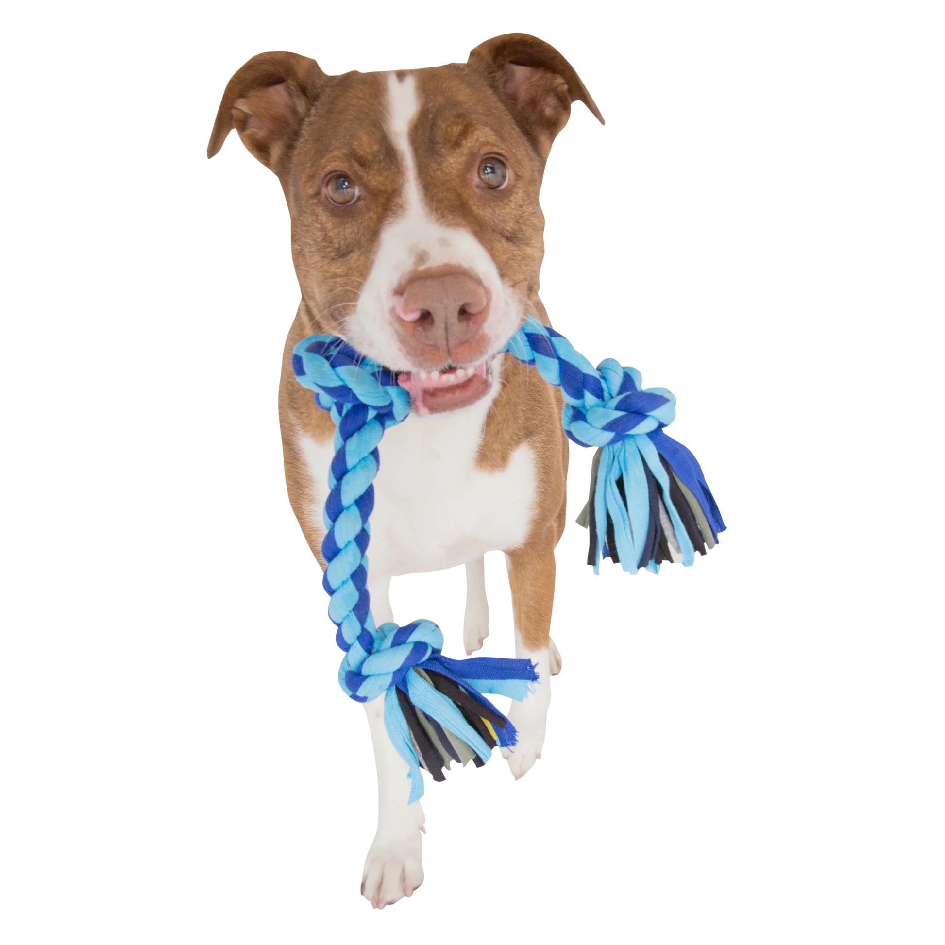 Flossy Chews Large 27" Cloth 4-Knot Tug Rope Dog Toy in Assorted Colors